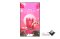 จอแสดงผลความสว่างสูง Digital Signage | LG | 75XS4P | ขนาด 75 นิ้ว, ความสว่าง 4,000 nit, ป้องกันจอเหลือง, มี webOS ในตัว, รองรับการใช้งานกลางแจ้ง | By JJSATs