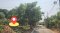 Land for Sale in Bang Phlap, Pak Kret, Nonthaburi – 1 Rai 89 Sq.wah (489 Sq.wah)
