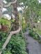 Luxury Beachfront Condo – Copacabana Beach, Jomtien!