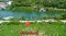 Rayong Riverfront – Premium Investment Land in a Rare Location, Close to the Sea & Right Along the Canal! 12 Rai of prime land for sale in Choeng Noen Subdistrict, Mueang Rayong District, Rayong Province.