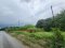 Prime Land for Sale in Salaya – Khlong Yong: Excellent Location, Best Value! Empty Land for Sale: 100 sq.wah Perfect for Residential or Investment Purposes