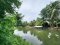 Urgent Sale! Agricultural Land with Coconut Plantation, 8+ Rai in Ban Phaeo! Great Price in Nong Nok Khai, Krathum Baen, Samut Sakhon | Green Zone | 80m Frontage × 160m Depth | Near Wat Tha Krabue | Only 3,500 THB/sq.wah