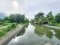 Urgent Sale! Agricultural Land with Coconut Plantation, 8+ Rai in Ban Phaeo! Great Price in Nong Nok Khai, Krathum Baen, Samut Sakhon | Green Zone | 80m Frontage × 160m Depth | Near Wat Tha Krabue | Only 3,500 THB/sq.wah