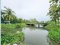 Urgent Sale! Agricultural Land with Coconut Plantation, 8+ Rai in Ban Phaeo! Great Price in Nong Nok Khai, Krathum Baen, Samut Sakhon | Green Zone | 80m Frontage × 160m Depth | Near Wat Tha Krabue | Only 3,500 THB/sq.wah