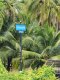 Urgent Sale! Agricultural Land with Coconut Plantation, 8+ Rai in Ban Phaeo! Great Price in Nong Nok Khai, Krathum Baen, Samut Sakhon | Green Zone | 80m Frontage × 160m Depth | Near Wat Tha Krabue | Only 3,500 THB/sq.wah