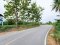 Urgent Sale! Agricultural Land with Coconut Plantation, 8+ Rai in Ban Phaeo! Great Price in Nong Nok Khai, Krathum Baen, Samut Sakhon | Green Zone | 80m Frontage × 160m Depth | Near Wat Tha Krabue | Only 3,500 THB/sq.wah