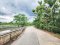 Urgent Sale! Agricultural Land with Coconut Plantation, 8+ Rai in Ban Phaeo! Great Price in Nong Nok Khai, Krathum Baen, Samut Sakhon | Green Zone | 80m Frontage × 160m Depth | Near Wat Tha Krabue | Only 3,500 THB/sq.wah
