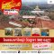 โอกาสทอง! ลด 30 ล้าน! ขายรีสอร์ทสุดหรูสไตล์ศิลปะ 6 ไร่ ใจกลางเขาใหญ่ บนทำเลแลนด์มาร์คที่ดีที่สุด(Palazzo Pavone Gallery & Resort) ทำเลทอง ตรงข้ามหลวงปู่ทวดองค์ใหญ่ที่ใครก็รู้จัก