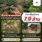 แปลงสวย 3 ไร่! ขายที่ดินพร้อมบ้านไม้สัก สันทราย ออร์เชิร์ด | ใกล้ ม.แม่โจ้