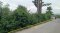 Rare Item in Phatthanakan–On Nut Zone Land for Sale – Corner Plot 391 sq.wah (1,564 sq.m.) – Soi Phatthanakan 94 / On Nut 70/1, Prawet–Phra Khanong, Bangkok