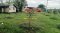 Rare Item in Phatthanakan–On Nut Zone Land for Sale – Corner Plot 391 sq.wah (1,564 sq.m.) – Soi Phatthanakan 94 / On Nut 70/1, Prawet–Phra Khanong, Bangkok