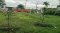Rare Item in Phatthanakan–On Nut Zone Land for Sale – Corner Plot 391 sq.wah (1,564 sq.m.) – Soi Phatthanakan 94 / On Nut 70/1, Prawet–Phra Khanong, Bangkok