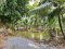 Urgent Sale! Agricultural Land with Coconut Plantation, 8+ Rai in Ban Phaeo! Great Price in Nong Nok Khai, Krathum Baen, Samut Sakhon | Green Zone | 80m Frontage × 160m Depth | Near Wat Tha Krabue | Only 3,500 THB/sq.wah