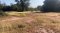 "Sufficiency is Sustainable Happiness" Land for Sale – 4 Rai 1 Ngan 40 Sq.wah (6,160 sq.m.) in Bua Yai, Nakhon Ratchasima This land doesn’t just offer size—it offers peace, simplicity, and the chance to return to a fulfilling rural lifestyle.