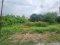 Prime Land for Sale in Salaya – Khlong Yong: Excellent Location, Best Value! Empty Land for Sale: 100 sq.wah Perfect for Residential or Investment Purposes