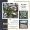 Prime Land for rent in Huai Khwang, Soi Ratchakajorn Just 750 meters from MRT Sutthisan and only 600 meters from Ratchadaphisek main road.Ideal for developing an 8-storey apartment building/Hotel,high-rise residential units, or a mid-size office.