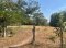 "Sufficiency is Sustainable Happiness" Land for Sale – 4 Rai 1 Ngan 40 Sq.wah (6,160 sq.m.) in Bua Yai, Nakhon Ratchasima This land doesn’t just offer size—it offers peace, simplicity, and the chance to return to a fulfilling rural lifestyle.
