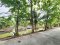 Urgent Sale! Agricultural Land with Coconut Plantation, 8+ Rai in Ban Phaeo! Great Price in Nong Nok Khai, Krathum Baen, Samut Sakhon | Green Zone | 80m Frontage × 160m Depth | Near Wat Tha Krabue | Only 3,500 THB/sq.wah