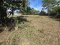 Super Value!! Quiet, peaceful, and shady location near golf courses and Pattaya city!!! Urgent sale: Land 321 sq.wah on Thung Klom-Talman Road, Huay Yai Subdistrict, Bang Lamung District, Chonburi Province.