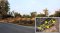 "Sufficiency is Sustainable Happiness" Land for Sale – 4 Rai 1 Ngan 40 Sq.wah (6,160 sq.m.) in Bua Yai, Nakhon Ratchasima This land doesn’t just offer size—it offers peace, simplicity, and the chance to return to a fulfilling rural lifestyle.