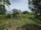 Great Opportunity for Real Estate Investors! Beautiful land just 300 meters from the beach! Adjacent to the Yacht Club! Land for Sale at Najomtien Beach – 68 sq.wah
