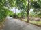 Urgent Sale! Agricultural Land with Coconut Plantation, 8+ Rai in Ban Phaeo! Great Price in Nong Nok Khai, Krathum Baen, Samut Sakhon | Green Zone | 80m Frontage × 160m Depth | Near Wat Tha Krabue | Only 3,500 THB/sq.wah