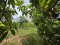 Great Opportunity for Real Estate Investors! Beautiful land just 300 meters from the beach! Adjacent to the Yacht Club! Land for Sale at Najomtien Beach – 68 sq.wah