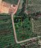 2 plots of land for sale, formerly a coconut plantation, Sukprayun Road, Bang Tin Ped Subdistrict. Chachoengsao Province There is a concrete road cutting through it near Bangkok. Total size is 1 rai 3 ngan 62 square wah.