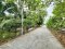 ขายด่วน! ที่ดินพร้อมสวนมะพร้าวบ้านแพ้วกว่า 8 ไร่! ราคาดี ในหนองนกไข่ กระทุ่มแบน สมุทรสาคร ผังเมืองเขียวลาย หน้ากว้าง 80 เมตร ลึก 160 เมตร ใกล้วัดท่ากระบือ เพียง 3,500 บาท/ตร.ว.