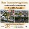 ขายอสังหาฯ ติดถนนเพชรเกษม 7 ไร่ 89.7 ตร.วา Mixed-use ครบวงจร หนองแขม