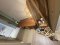 38层 景观极佳 物超所值！出售 Ashton Silom 公寓 —— 由 Ananda Development 开发，面积 32.39 平方米，近 Silom Complex，离 BTS Chong Nonsi 站仅 350 米！