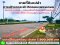 ขายที่ดิน ผังเมืองสีชมพู – วิวภูเขา ทำเลทองทางเข้าหาดชะอำ โซนชะอำ–หัวหิน เพชรบุรี “จุดดักสายตาก่อนถึงทะเล… ที่พร้อมเป็นร้านอาหารหรือคาเฟ่แห่งใหม่ของเมือง” ติดถนนเพชรเกษมฝั่งขาเข้าชะอำ หน้ากว้างถึง 61 เมตร ด้านหลังมีภูเขาเป็นฉากหลังธรรมชาติ