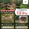 Best Deal You’ll Ever Get!! 3 Rai 45 Sq.Wah Land with Teakwood House for SALE at San San Orchard, behind Maejo University, 30 Mins from Chiang Mai Airport!