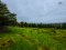 Resort for Sale in Khao Kho, Phetchabun On over 12 rai of titled land with panoramic windmill views, complete with existing structures and a valid hotel license. A rare opportunity on high-potential land—ready to be brought back to life in the hands of th