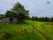 Resort for Sale in Khao Kho, Phetchabun On over 12 rai of titled land with panoramic windmill views, complete with existing structures and a valid hotel license. A rare opportunity on high-potential land—ready to be brought back to life in the hands of th