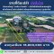 Prime Industrial Location – True Purple-Zoned Land on Major Road, Korat City  Land for sale with official purple industrial zoning — a rare opportunity in the heart of Korat. Total area: 6 Rai 2 Ngan 71 Sq.wah (2,671 sq.wah or approx. 10,684 sq.m.)