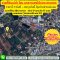 “ขายที่ดิน 351 ตร.วา ซอยมิตรภาพ 19 แยก 12 — ใกล้ มทส. โคราช  ( โซน โนนไม้แดง , สามยอด ไม่ควรพลาด)  ทำเลหายาก ราคาห้ามพลาด! เหมาะสำหรับแบ่งขาย ทำหอพัก สร้างบ้านพร้อมกิจการ หรือพัฒนาเก็บกินระยะยาว!”