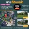 Rare Item in Phatthanakan–On Nut Zone Land for Sale – Corner Plot 391 sq.wah (1,564 sq.m.) – Soi Phatthanakan 94 / On Nut 70/1, Prawet–Phra Khanong, Bangkok