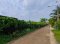 Land for sale 1 rai 2 ngan 86.7 sq.w (686.7 sq.w) in Soi Bang Khanun 5, Nonthaburi, near Ratchaphruek Road and Rama 5 Roundabout,