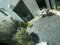 For rent : Luxury 2-Storey Detached House at Vivaldi Bangna by REAL ASSET Land size 70.7 sq.wah