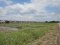 Prime Land for Long-Term Lease in Thian Thale 19 Alley 1, Bang Khun Thian – Rama II Area.