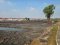 Prime Land for Long-Term Lease in Thian Thale 19 Alley 1, Bang Khun Thian – Rama II Area.
