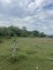 Land for Housing Development in Baan Pong, Ratchaburi | 17 Rai 19 Sq.w. | THB 850,000 per Rai | Near Nong Pla Duk Railway Station