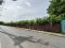Red-Zone Land for Sale, 6 Rai 24 Sq.Wah, Opposite Wat Leng Noei Yi 2, Near Central Westgate, Dual Road Frontage, Ideal for Community Mall and Mixed-Use Development