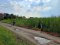 FOR SALE: 100 Sq. Wah Land Plot – Soi Wat Paen Thong (Hathairat 39)