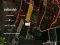 This! Great Price!! Beautiful Pomelo Orchard Land for Sale Beautiful land