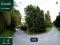 This! Great Price!! Beautiful Pomelo Orchard Land for Sale Beautiful land