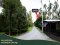This! Great Price!! Beautiful Pomelo Orchard Land for Sale Beautiful land