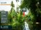 This! Great Price!! Beautiful Pomelo Orchard Land for Sale Beautiful land