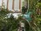 For Rent: Park Lane Condominium Jomtien Pattaya